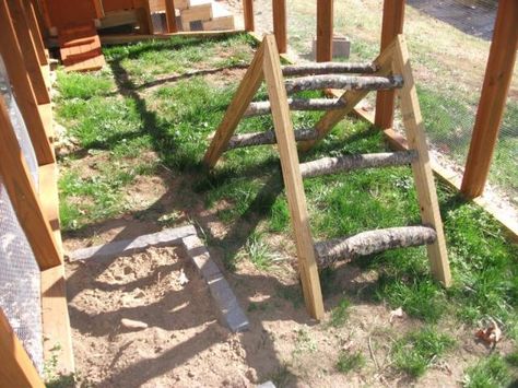 would make a nice removable roost too.... Diy Chicken Toys, Chicken Ladder, Chicken Perches, Chicken Roost, Owner Builder, Portable Chicken Coop, Chicken Toys, Best Chicken Coop, Raising Backyard Chickens