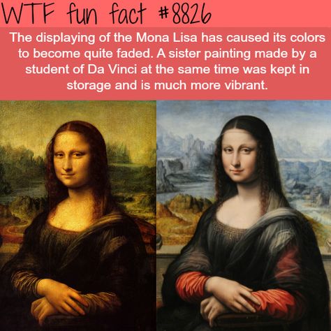 What The Fact, The Mona Lisa, Strange Facts, Unbelievable Facts, Science Facts, Interesting Information, The More You Know, History Facts, Weird Facts