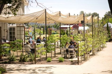 8 Farm-to-Table Restaurants Arequipa, Farm Brewery, Creek Garden, Napa Valley Restaurants, Napa Restaurants, Tactical Urbanism, Barn House Kits, Farm Cafe, Farm Restaurant