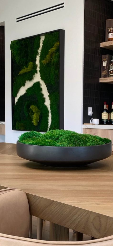 Oder, Nature, Moss Bowl Centerpiece, Cement Bowl, Moss Bowl, Types Of Moss, Bowl Centerpiece, Moss Wall Art, Moss Art