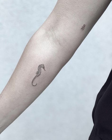 Seahorse Tattoo Ideas, Small Animal Tattoo Ideas, Simple And Small Tattoos, Zee Tattoo, Small Animal Tattoo, Ocean Life Tattoos, Small Tattoo Ideas For Men, Beachy Tattoos, Animal Tattoos For Women