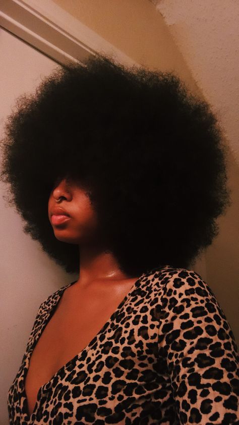 Big Afro Covering Eyes, Afro Over Eyes, Afro That Covers Eyes, Fluffy Afro Hair, Black Woman Dyed Hair, Black Person Hair, Afro Covering Eyes, Puffy Hair Drawing, Black Curly Hair Aesthetic