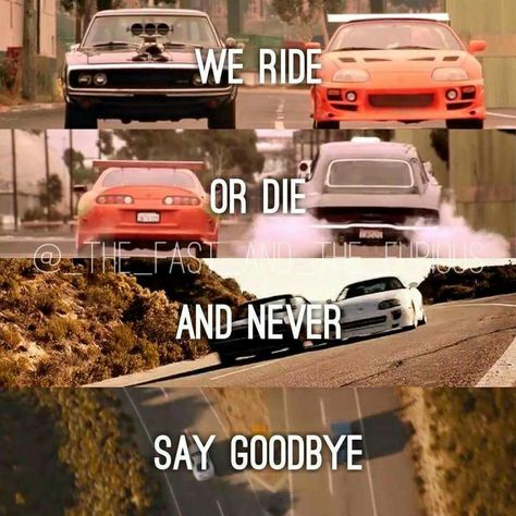 Letty Fast And Furious, Fast Furious Quotes, Fast And Furious Letty, Movie Fast And Furious, Fast And Furious Cast, Fast And Furious Actors, Furious Movie, Best Jdm Cars, Street Racing Cars