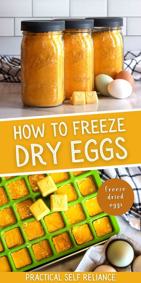 Freeze Dried Christmas Gifts, Dried Eggs, Preserve Eggs, Freezing Food Storage, Preppers Food Storage, Preserving Eggs, Diy Food Storage, Best Emergency Food, Storing Food Long Term