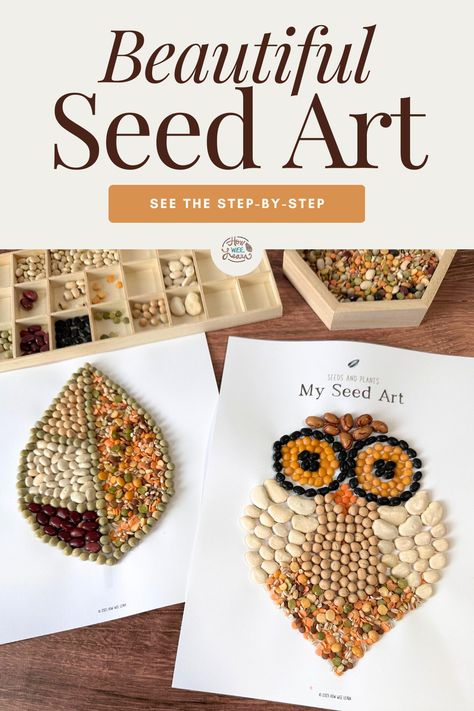 Montessori, Lorax Activities For Kids, Nature Art Projects For Middle School, Nature Art Lessons, Spring Nature Crafts For Kids, Seed Art Ideas, Pumpkin Seed Art, Seed Art For Kids, Seed Mosaics