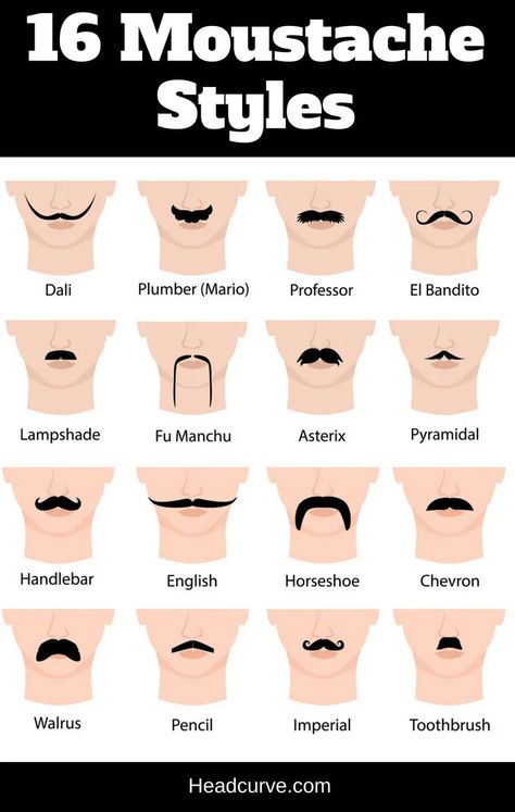 16 Moustache Styles and Names (Chart and Illustrations) Pencil Mustache, Mustache Drawing, Types Of Mustaches, Horseshoe Mustache, Thick Mustaches, Mustache Shapes, Types Of Facial Hair, Moustache Style, Moustaches Men