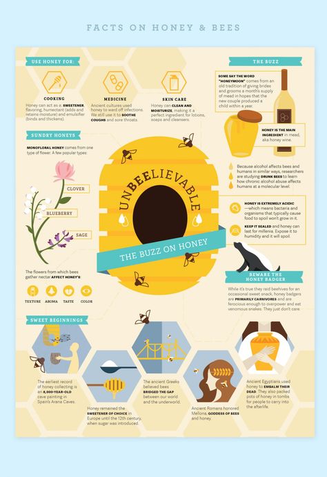 Unbeelievable Infographic Bee Infographic Design, Honey Bee Infographic, Creative Infographic Art, Honey Infographic, Bees Infographic, Cute Infographic Design, Creative Infographic Design Layout, Bee Infographic, Aesthetic Infographic Design