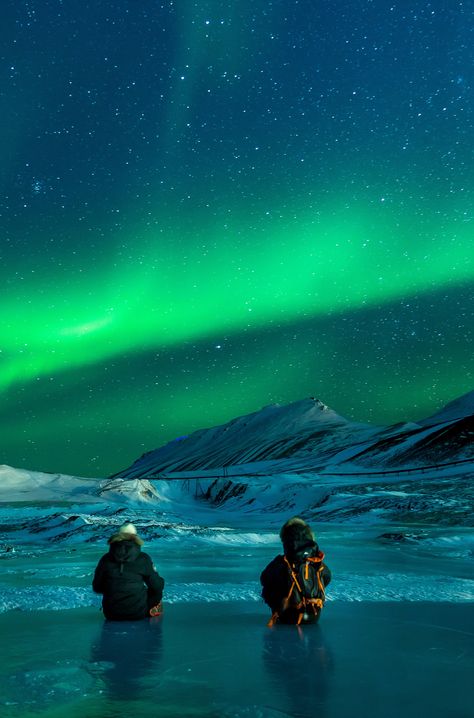 One of the world’s most dazzling natural phenomenons, few travel experiences can top witnessing the Northern Lights. And Norway is a pretty safe bet for where to see them. Click pin through to post for tips. Glass, Travel, Northern Lights, Aurora Boreal, Nature, Aurora, Image Ideas, Aurora Borealis, Image Types