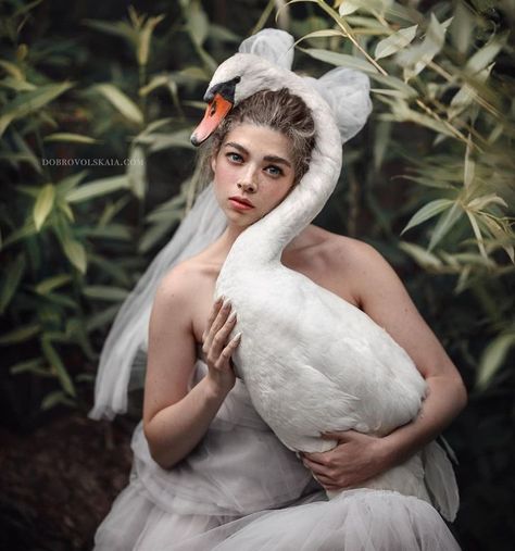Anastasiya Dobrovolskaya, Magical Photography, Swan Art, Animals And People, Humans And Animals, Swans Art, Pose Fotografi, Pet Photographer, Poses References