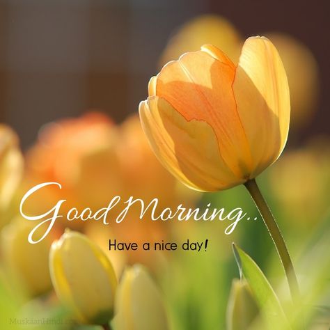 Fresh Morning Quotes, Afternoon Blessings, Happy Messages, Weekend Wishes, Morning Ideas, Latest Good Morning Images, Good Morning Wishes Gif, Inspirational Good Morning Messages, Latest Good Morning