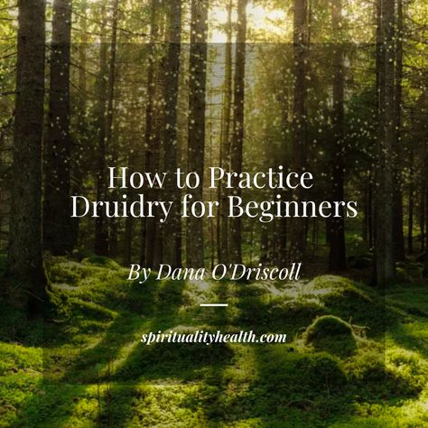 Druid Altar Ideas, Druidry For Beginners, Druidism Spirituality, Druidry Spirituality, Druid Beliefs, Druidry Aesthetic, Neo Druidism, Druid Practice, Celtic Practices