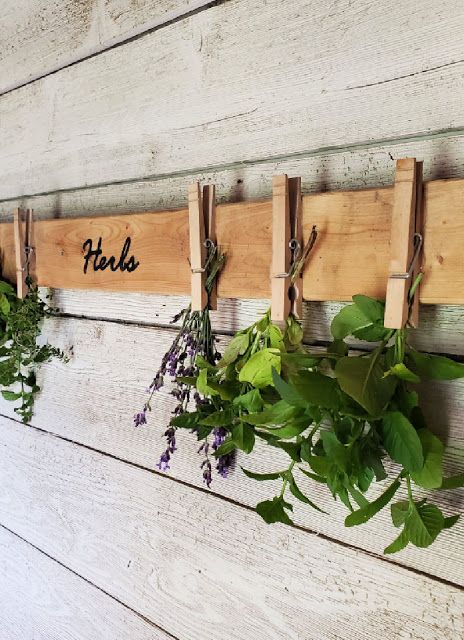 Tiny Cabinet, Drying Rack Diy, Herb Drying Rack, Herb Rack, Herb Drying, Herb Drying Racks, Succulent Gardening, Chicken Diy, Fresh Eggs