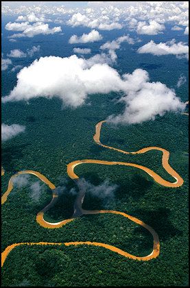 Iquitos, Posters Amazon, Amazon Forest, Amazon Jungle, Amazon River, River Art, Black Color Hairstyles, Sacred Valley, Color Hairstyles