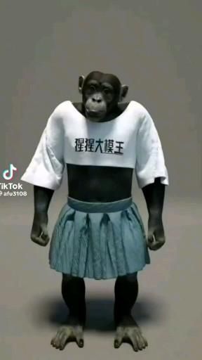 Kalle Anka, Monkey Dance, Funny Cartoon Images, Funny Dancing Gif, Cartoons Dancing, Dancing Animals, Good Morning Funny Pictures, Animal Humour, Funny Animated Cartoon