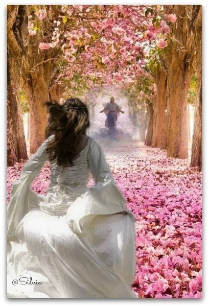 ❤️ Running to my Beloved King Jesus. Beautiful painting of Bride of Christ. Please also visit www.JustForYouPropheticArt.com for more colorful Prophetic art you might like to pin or purchase. Thanks for looking! Woord Van God, Pictures Of Christ, Ayat Alkitab, Prophetic Art, Bride Of Christ, Pictures Of Jesus Christ, Jesus Painting, Jesus Christ Images, King Jesus