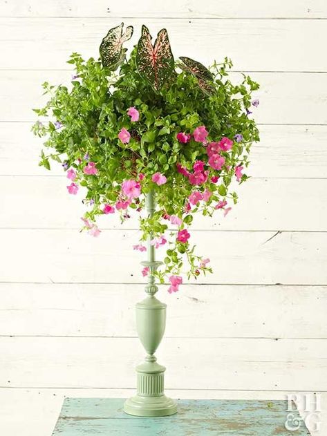 Plug in to the potential of a cast-off lamp base and brighten your space with a lamp turned into a planter. #diyplanters #gardening Garden Types, Lamp Planters, Tiered Planter, Gardening Trends, Dried Hydrangeas, Garden Containers, Hanging Garden, Diy Planters, Lamp Base