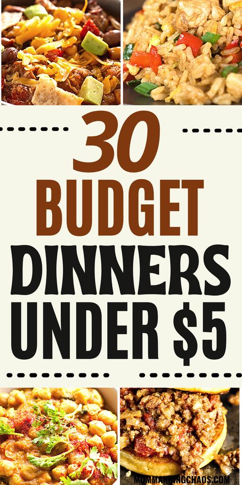 Dirt Cheap Dinners, Recipe Ideas For Dinner, Cheap Meals For Large Families, Gut Health Foods, Meals For Large Families, Cheap Meals On A Budget, Cheap Family Dinners, Cheap Recipe, Dirt Cheap Meals