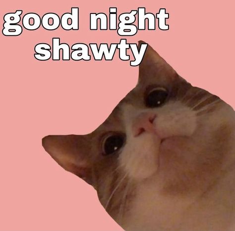 Goodnight Memes Funny, Wanna Play Minecraft, Good Night Meme, Goodnight Cute, Good Night Cat, Lucas Stranger Things, Cute Small Drawings, Gf Memes, Happy Memes