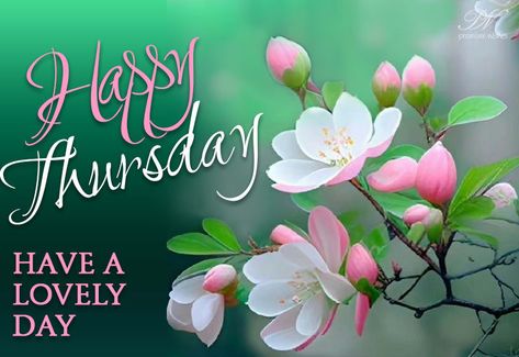 Happy Thursday – Have a lovely day The post Happy Thursday – Have a lovely day appeared first on Premium Wishes. Tuesday Greetings, Thursday Greetings, Happy Thursday Quotes, Daily Greetings, Thursday Quotes, Thursday Afternoon, Weekday Quotes, Thursday Motivation, Have A Lovely Day