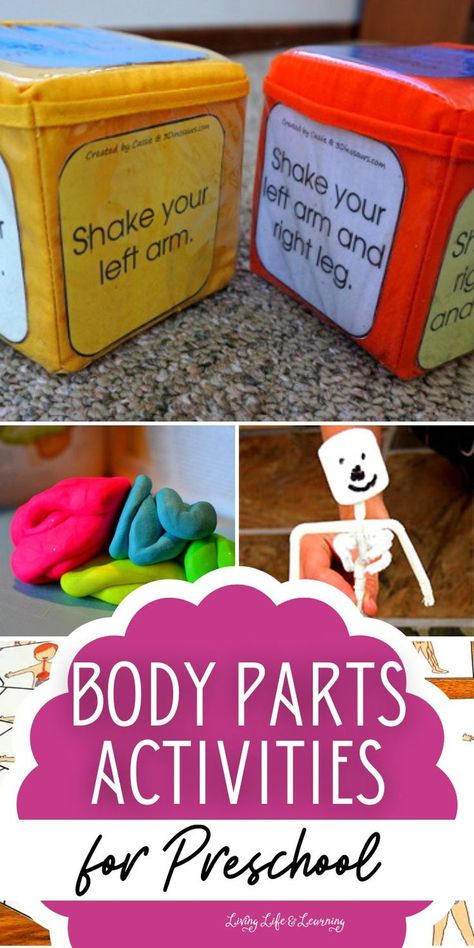 Body Parts Activities For Preschool Pre K Human Body Activities, Human Body Crafts For Preschoolers, Human Body Crafts For Kids, Preschool Body Theme, Body Parts Theme, Human Body Crafts, Human Body Lesson, Body Parts Preschool Activities, Body Parts For Kids