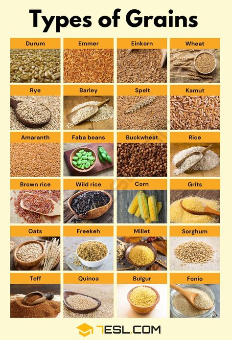 Types of Grains Whole Grains List, Types Of Grains, Grains List, Rice Types, Easy Breakfast Smoothies, Types Of Cereal, Whole Grain Foods, Different Types Of Bread, Types Of Beans