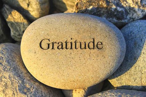 Gratitude Quotes, Gratitude Day, Gratitude Meditation, Thanksgiving Prayer, Jack Canfield, Karma Yoga, Daily Gratitude, Attitude Of Gratitude, Grateful Heart