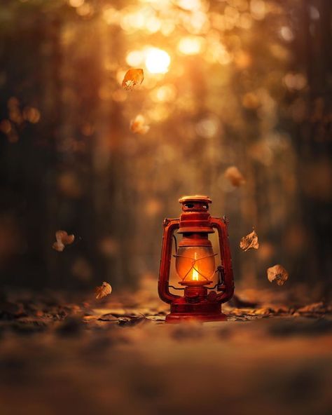 Old Lanterns, Magical Images, Autumn Magic, Autumn Cozy, Autumn Beauty, Autumn Aesthetic, Alam Yang Indah, Alam Semula Jadi, Fall Wallpaper