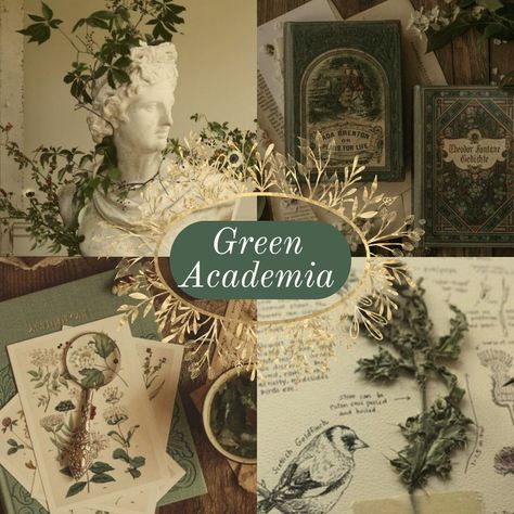 Botanical Academia Aesthetic, Cottage Core And Dark Academia, Garden Academia Aesthetic, Whimsy Dark Academia, Green Light Academia Outfit, All Green Outfit Aesthetic, Botanical Old World Aesthetic, Green Academia Aesthetic Bedroom, Dark Academia Meets Cottagecore