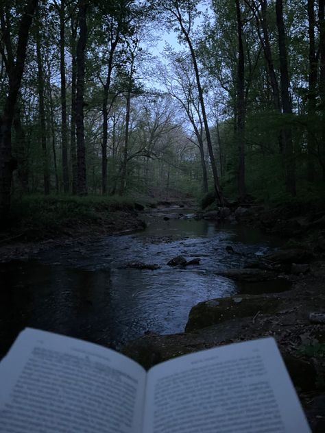 Reading In The Forest Aesthetic, Bailee Aesthetic, Old Forest Aesthetic, Russian Novels Aesthetic, Novacore Aesthetic, Grieve Aesthetic, Enchantment Aesthetic, Black Water Aesthetic, Library Dark Aesthetic