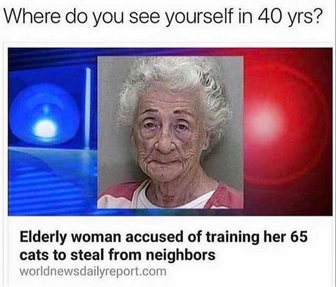 Funniest Memes of the Day ~ Funny news story cat lady elderly woman accused of training cats to steal from neighbors Narnia, Crazy Funny Memes, Memes Humor, Komik Internet Fenomenleri, Really Funny Memes, Funny Relatable Memes, Funny Laugh, So True, Funny Posts