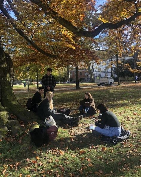 Songs, A Park, On The Ground, A Tree