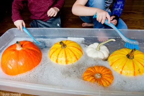 Clean the Pumpkins Fall Toddler Activity - Busy Toddler Easy Fall Activities, Fall Sunday School Crafts, Fall Sunday, Fall Activities For Toddlers, Bible Crafts Sunday School, Kids Sunday School Lessons, Fall Activity, Pumpkin Activities, Easy Toddler Activities