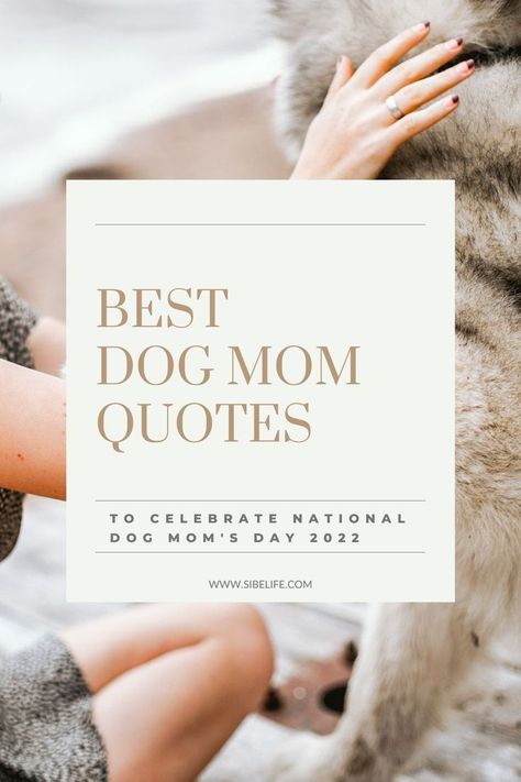 National Dog Mom's Day is such a special day for us dog moms! So, in honor of this upcoming National Dog Mom's Day, I put together 85 dog mom quotes to celebrate us! Share these heartwarming dog mom quotes with your dog mom friends or use them for your Instagram caption! #dogmomquotes #dogmomlife #dogquotes #dogmomsayings My Puppy Quotes, Love Your Dog Quotes, Dog Is My Best Friend Quote, Pets Quotes Dog, My Dog Saved My Life Quotes, Dogs Life Quotes, Quote For Dogs Instagram, Once In A Lifetime Dog Quotes, Dog Mom Quotes Mothers Day