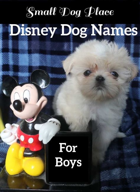 Disney Dog Names for Boys Pin Disney Dog Names Boys, Pet Names For Boys, Disney Boy Names, Dog Names Disney, Male Dog Names List, Disney Dog Names, Male Pet Names, Disney Pet Names