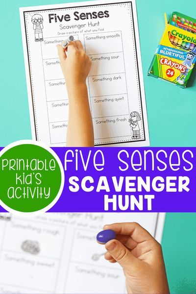 Teach students about the five senses with this fun Five Senses Scavenger Hunt printable activity! This is a free printable as well! Your students will have so much fun learning about their five senses! #fivesenses #scavengerhunt #preschool #kindergarten #printable #fivesensesscavengerhunt #lifeovercs Montessori, 5 Senses Activity Kindergarten, Scavenger Hunt Kindergarten, Kindergarten Scavenger Hunt, 5 Senses Activity, Five Senses Activity, Five Senses Kindergarten, Five Senses Activities, Senses Activity