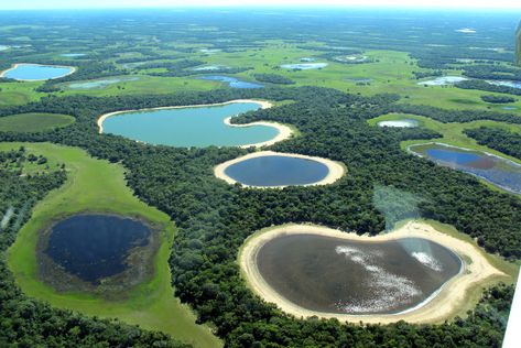 Caatinga A Caatinga é um bioma exclusivamente brasileiro e compreende cerca de 11% do território nacional e 70% da Região Nordeste. Apresenta uma grande biodiversidade. A Caatinga concentra-se na Região Nordeste do país, cujo clima é semiárido. Sua vegetação apresenta características adaptadas à escassez de chuva. A Caatinga é um bioma exclusivamente brasileiro, ocupando, aproximadamente, uma área de 734.478 km2, que corresponde a cerca de 70% da Região Nordeste e 11% do território nacional. Lake Superior, Hydroelectric Dam, Lake Baikal, Bodies Of Water, Artificial Lake, South American Countries, Lake Huron, Travel Images, Bullet Journaling