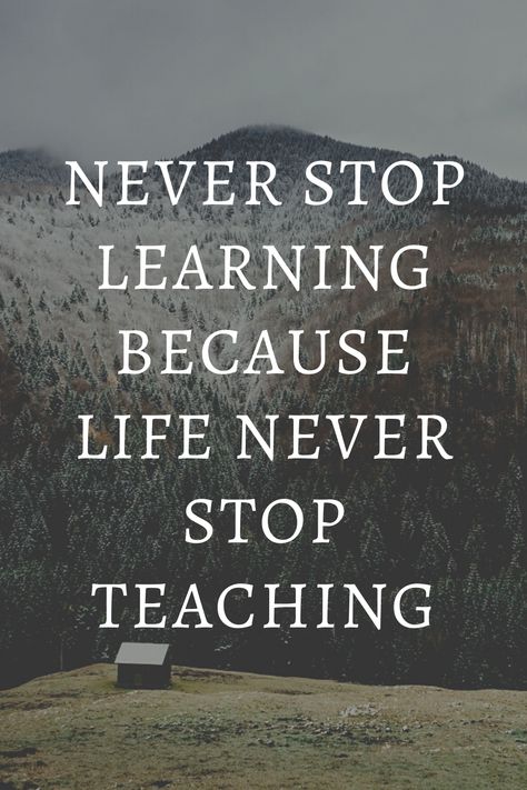 Learn From The Best Quotes, Always Learning Quotes, To Learn Quotes, Qoutes About Motivation, Quotes About Learning, Life Long Learning, Teaching Motivation, Learn Quotes, Live And Learn Quotes