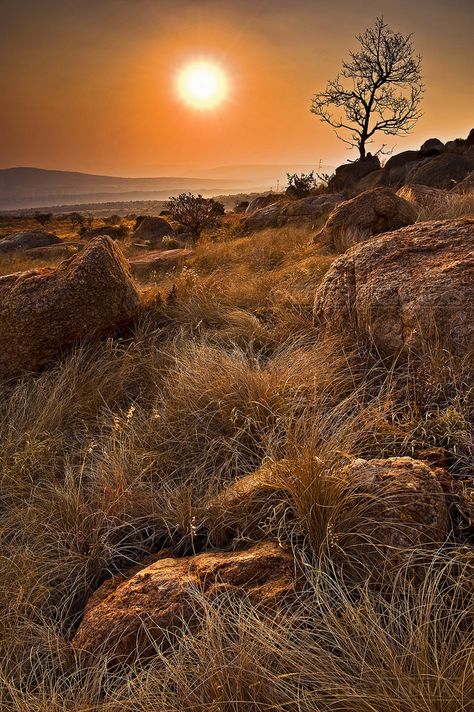 Portfolio of African Landscape Photography Prints for Sale Nature, Golden Mountain, Africa Photography, Country Landscape, Fine Art Landscape Photography, Africa Do Sul, Winter Sunset, Mountain Sunset, Out Of Africa