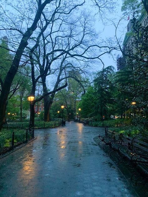 Nature, Rainy Washington, Rainy City, Real Nature, Autumn In New York, Washington Square Park, Washington Square, Winter Aesthetic, Dream Destinations