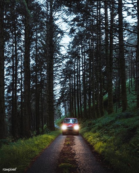 Car passing through Mull temperate rainforest | free image by rawpixel.com #picture #photography #inspiration #photo #art #forest Nature, Car In The Woods, Widget Pictures, Photo Widgets, Temperate Rainforest, Forest Road, Aesthetic Things, Beautiful Forest, Automotive Photography