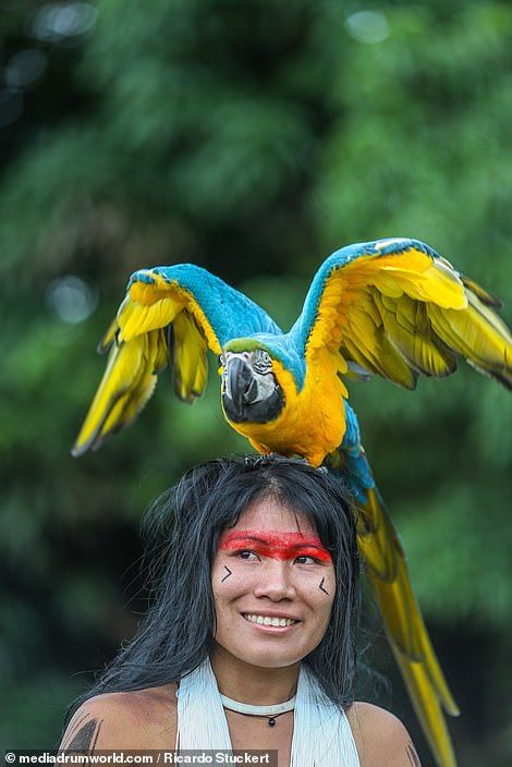 Fighting for their existence: Incredible photographs of Brazilian rainforest tribes Rainforest Tribes, Brazil People, Brazilian Rainforest, Brazilian People, Brazil Culture, Indigenous Tribes, Brazilian Women, Black Color Hairstyles, Color Hairstyles