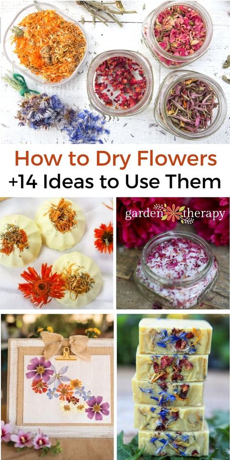 Flowers Diy Crafts, How To Dry Flowers, Dried Flowers Crafts, Craft Storage Diy, Dried Flower Petals, Pressed Flowers Diy, Homemade Lip Balm Recipe, Dried Flowers Diy, Kerajinan Diy