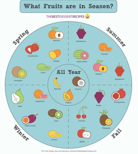 What fruits are in season? Essen, Seasonal Fruit Chart, Fruit Season Chart, Seasonal Food Chart, Fruit Chart, Seasons Chart, Vegetable Chart, Chart Infographic, List Of Vegetables