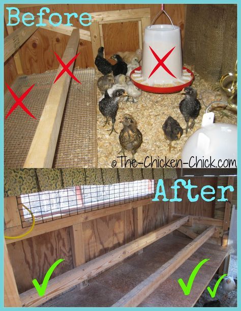 Raise roosts and add a droppings board. Roosts can also be wall-mounted versus a ladder style roost system that attaches to the floor. Adding a suspended droppings board beneath the roosts creates clean, usable floor space. Cool Chicken Coop, Chicken Coop Decorations, Chicken Coop Layout, Pallet Backyard, Decorating Backyard, Coop Layout, Chicken Perch, Inside Chicken Coop, Chicken Perches