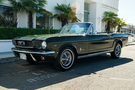 1966 Ford Mustang Convertible. Dad would take us for a Sunday drive in this. Ford Mustang Convertible 1967, Ford Mustang 1967 Convertible, 1967 Mustang Convertible, 1966 Ford Mustang Convertible, Ford Mustang 1967, Trucks Lifted, 65 Mustang, Vintage Mustang, 1967 Mustang