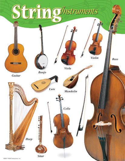 cover Instrument Families, Wedding Musicians, Music Appreciation, Online Teachers, Percussion Instruments, Teacher Supplies, Learn Music, Music Activities, Music Class