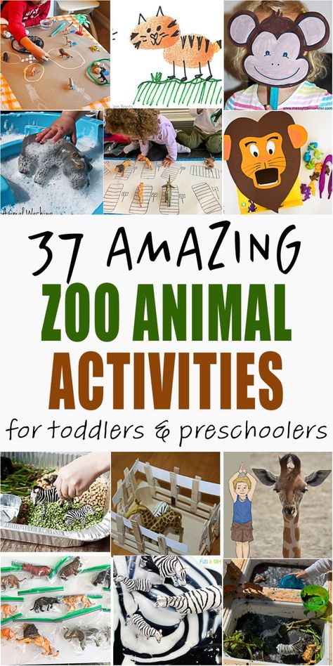 37 Amazing Zoo Animal Activities - HAPPY TODDLER PLAYTIME Reggio Animal Activities, Zoology Activities For Preschool, Animals Unit Kindergarten, Fine Motor Zoo Activities, Zoo Hands On Activities, Pre K Animal Activities, Preschool Wild Animals Theme Activities, Zoo Animals Preschool Activities Science, Animal Planet Activities For Preschool