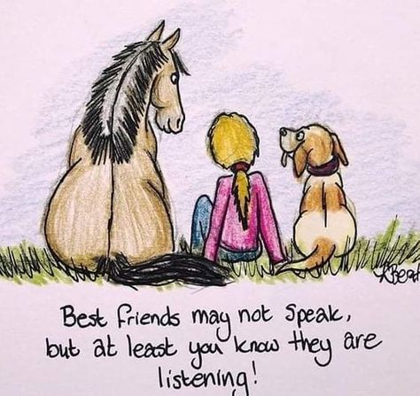 Horse Quotes, Animal Lover Quotes, Inspirational Horse Quotes, Horse Riding Quotes, Dog Lover Quotes, Riding Quotes, Touch Your Heart, Horse Wallpaper, Today Quotes