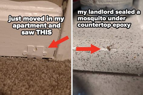 I Seriously Can't Stop Laughing At These Absolutely Terrible Landlords Who Tried And Failed Miserably To Fix An Apartment Funny Stuff, Can’t Stop Laughing, Epoxy Countertop, Can't Stop Laughing, Interesting Articles, Being A Landlord, Fix It, Fails, Buzzfeed