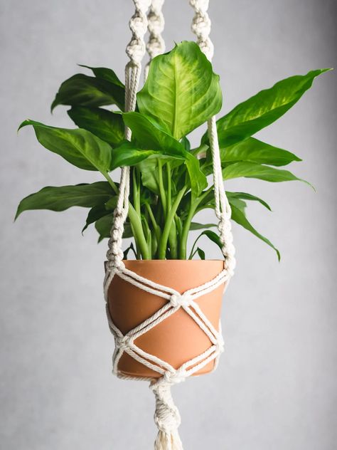 Simple Macrame Hanger, Macrame Plant Hanger How To, Macrame Small Plant Hanger Diy, Easy Macrame Plant Hanger Patterns, Simple Macrame Plant Hanger Diy, Free Macrame Plant Hanger Patterns, Plant Hanger Macrame Tutorial, How To Make A Macrame Plant Hanger, Small Macrame Plant Hanger Diy